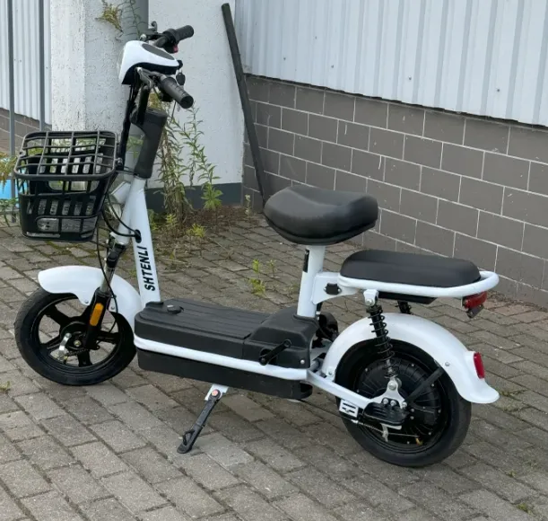 ЭЛЕКТРОСКУТЕР PROFI M11 SLA 48/12