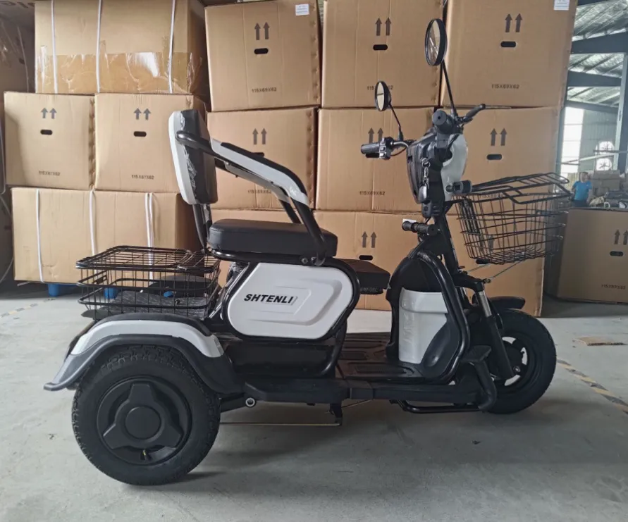 Электрический трицикл SHTENLI Model 30 SLA 48/12