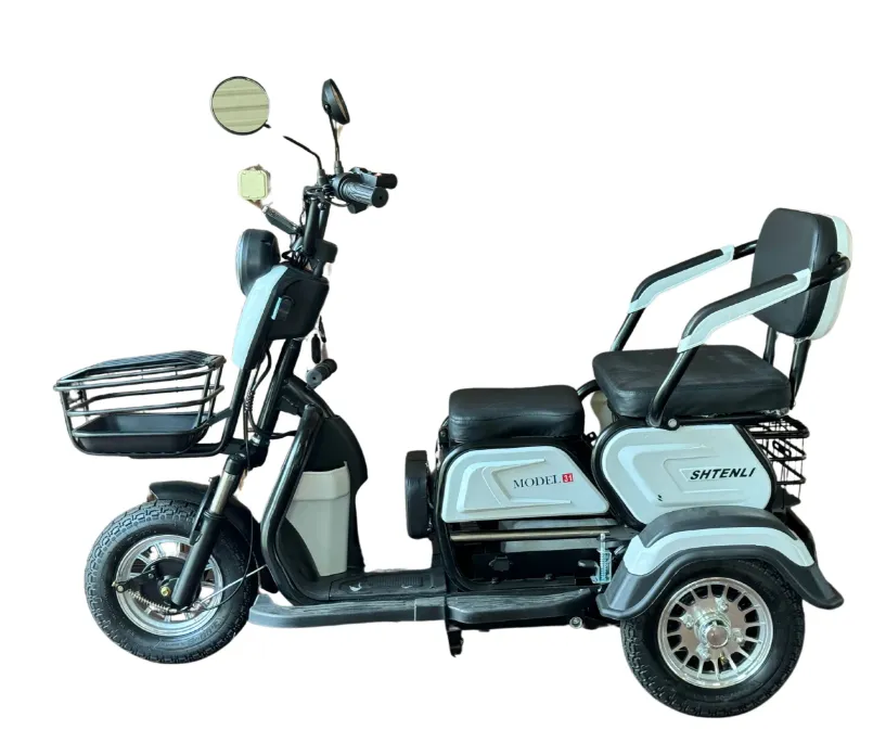 Электрический трицикл SHTENLI Model 31 SLA 60/20