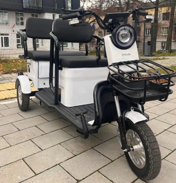 Электрический трицикл Бизнес Класса SHTENLI Model 37 SLA 48/20
