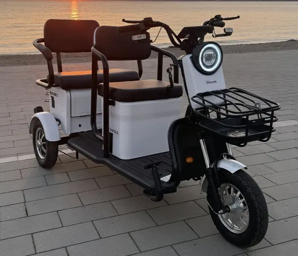 Электрический трицикл Бизнес Класса SHTENLI Model 37 SLA 60/20